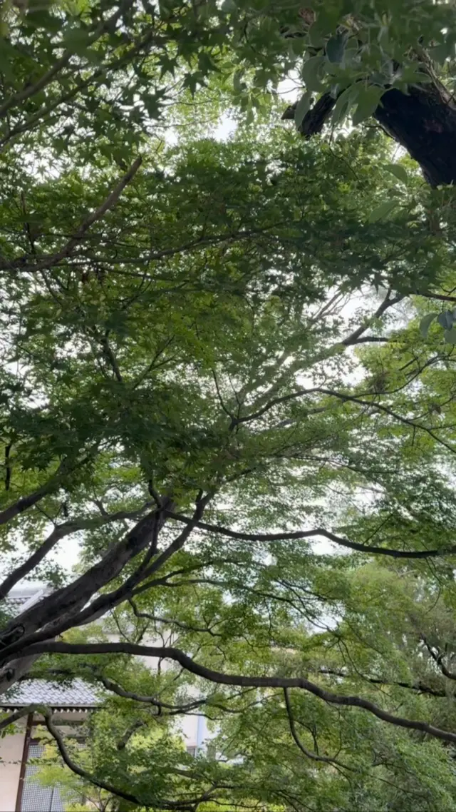 千手寺 公式Instagramの投稿